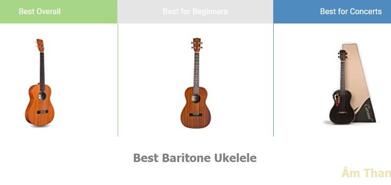 Top đàn ukulele baritone hay nhất