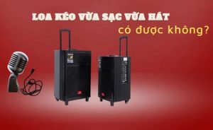 Cách khắc phục loa kéo sạc không vào điện