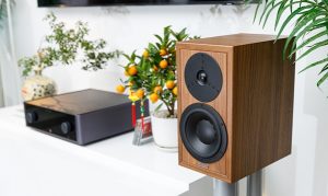 Loa nghe nhạc Dynaudio