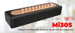 Micro kèm vang Acnos Mi30s V2 chống hú chủ động