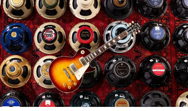 Sự khác biệt của loa cho nhạc cụ